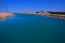 View of the All-American Canal, which carries Colorado River water from the Imperial Dam to the Imperial Valley. USA / Mexico border in California, December 2006
