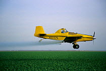 A crop-dusting plane sprays insecticide on a field of lettuce in California's Imperial Valley near the Salton Sea. Imperial Valley, California, USA.