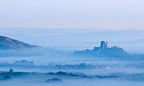 Corfe Castle and village and early morning mist. View from Kingston, Dorset, England, UK. April 2010.
