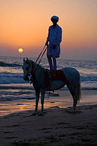 A traditionally dressed rider stands on the back of his Kathiawari mare (Equus caballus) on the beach, in Porbandar at sunset, Gujarat, India.