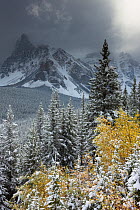The Valley of the Ten Peaks, after recent snowfall, Banff National Park, Alberta, Canada. October 2009