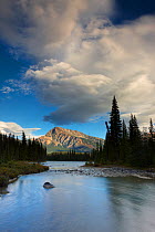 The Athabasca River at the Meeting of the Waters, with Mt Hardisty beyond, Jasper National Park, Alberta, Canada. September 2009