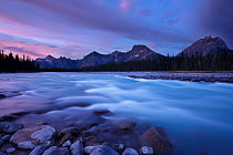 The Athabasca River with Dragon Peak and the Winston Churchill Range at dawn, Jasper National Park, Alberta, Canada. September 2009