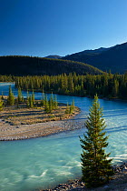 Athabasca River near Jasper, Jasper National Park, Alberta, Canada. September 2009