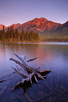 Pyramid Lake and Mountain at dawn, Jasper National Park, Alberta, Canada. September 2009