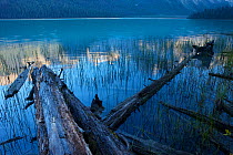 Emerald Lake at dawn, Yoho National Park, British Columbia, Canada. September 2009