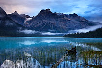 Emerald Lake at dawn with the peaks of the President Range beyond, Yoho National Park, British Columbia, Canada. September 2009