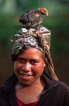 Huli woman with juvenile domestic chicken (Gallus gallus domesticus) on her head. Tari Valley, Papua New Guinea, during filming for the BBC series Planet Earth, August 2004.