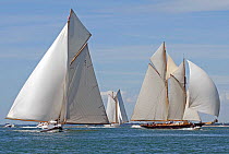 Gaff cutter "Mariquita" and schooners "Eleonora" and "Mariette" under full canvas. Westward Cup Regatta, Cowes, Isle of Wight. July 2010.