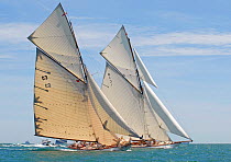 Gaff cutters "Tuiga" and "Mariquita" at the Westward Cup Regatta, Cowes, Isle of Wight. July 2010.