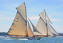 Gaff cutters "Tuiga" and "Mariquita" being photographed by Beken, much like they would have been a hundred years ago. Westward Cup Regatta, Cowes, Isle of Wight. July 2010.
