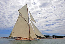 Gaff cutter "Mariquita" sailing at the Westward Cup Regatta, Cowes, Isle of Wight. July 2010.