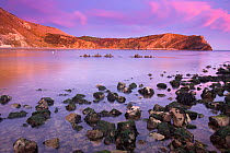 Lulworth Cove after sunset, producing pink clouds. Dorset, England, UK. Jurassic Coast World Heritage Site. March 2009