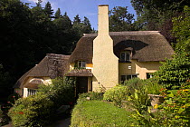 Thatched Cottage, Selworthy, Exmoor, Somerset, England. June 2009