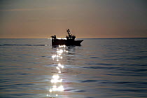Trawling on the North Sea in flat calm conditions, May 2010. Property released.