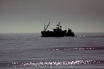 North Sea trawler on calm sea, May 2010.