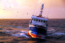 Fishing vessel "Ocean Harvest" on the North Sea, May 2010. Property released.