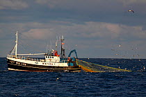 Fishing vessel "Boy Andrew" shooting the seine net on the North Sea Haddock fishery, May 2010.