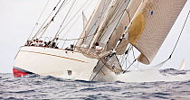 "Windrose" sailing at the Panerai Antigua Classic Yacht Regatta, Caribbean, April 2010.