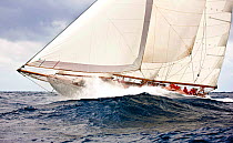 "Astor" sailing at the Panerai Antigua Classic Yacht Regatta, Caribbean, April 2010.