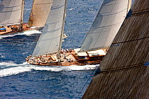 Classic yachts sailing at the Panerai Antigua Classic Yacht Regatta, Caribbean, April 2010.