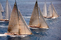 Fleet of yachts racing at the Panerai Antigua Classic Yacht Regatta, Caribbean, April 2010.