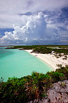 Secluded beach in the Exumas, Bahamas, Caribbean. June 2009.