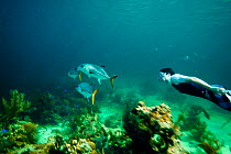 Young man snorkelling in the Exumas, Bahamas, Caribbean. June 2009, Model released.