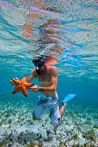 Young man snorkeling over seagrass bed, holding a starfish, The Grenadines, Caribbean. February 2010, Model released.