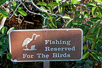 'Fishing reserved for the Birds' no fishing sign, Anhinga Trail, Everglades, Florida, USA