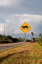 Road warning sign  Panther / Puma crossing, Everglades, Florida, USA