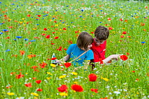 Young girl and boy playing in a wildflower meadow, Scotland, UK, July 2009. Model released