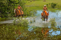 Pantanal cowboys on horseback, during floods Central Pantanal, Mato Grosso do Sul Province. Brazil, South America December 2004