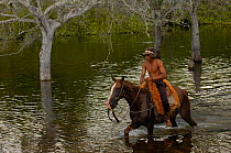 Pantanal cowboy on horseback, during floods Central Pantanal, Mato Grosso do Sul Province. Brazil, South America December 2004