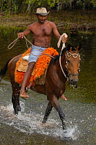 Pantanal cowboy on horseback, during floods Central Pantanal, Mato Grosso do Sul Province. Brazil, South America December 2004