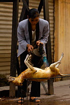 Butchered dog for eating. Hair removed with boiling water then the skin is torched before the meat is either cooked over coals or boiled. Yuanyang, Honghe Prefecture, Yunnan Province. China