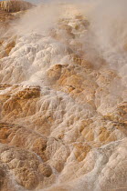 Mammoth Hot Springs with its terraces. Yellowstone National Park. Wyoming. USA