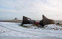 Converted boat hulls now used as a shed by fishermen, with Lindisfarne castle in the background Holy Island Harbour, Northumberland, UK