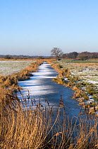 Frozen dyke in winter, on Buckenham Marshes RSPB Reserve, Yare Valley, Norfolk, England