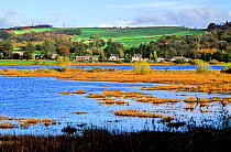 Ken Dee Marshes, RSPB Nature Reserve, Dumfries and Galloway, Scotland. UK.