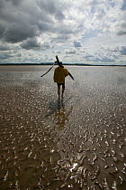 Traditional lave net fisherman (a method dating back at least 1,500 years) walking across mudflats. This Severn Estuary way of life is threatened by proposed barrage. Gloucestershire, England, July 20...