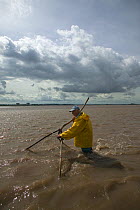 Traditional lave net fisherman (a method dating back at least 1,500 years) fishing for salmon. This Severn Estuary way of life is threatened by proposed barrage. Gloucestershire, England, July 2009