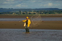 Traditional lave net fisherman (a method dating back at least 1,500 years) fishing for salmon. This Severn Estuary way of life is threatened by proposed barrage. Gloucestershire, England, July 2009