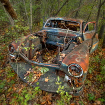 Abandoned burned out Ford Mercury car, in woodland Minnesota, USA, June 2006