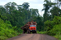 Logging truck with full load approaching on road through the rainforest, Danham Valley, Borneo