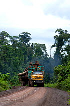 Logging truck with full load approaching on road which transverses the rainforest, Danham Valley, Borneo, September 2007