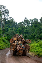 Logging truck with full load of cut logs on road which transverses the rainforest, Danham Valley, Borneo, September 2007