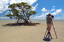 Cameraman Gavin Thurston, filming Red mangrove (Rhizophora mangle) for BBC series 'Life' Daintree National Park, Australia, December 2007