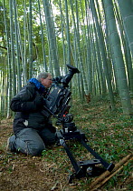 Cameraman Alastair MacEwen, filming Giant Bamboo, Kyoto, Japan, February 2008