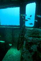 Inside the wreck of a sunken tug boat, off the coast of the Bahamas, Caribbean, February 2007